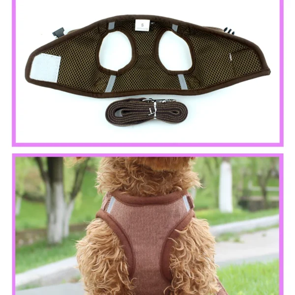 Windproof - Image 4