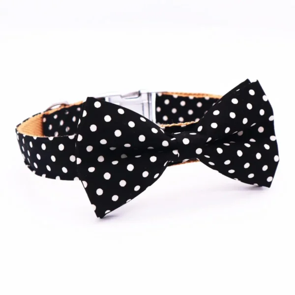 Polka - Image 2