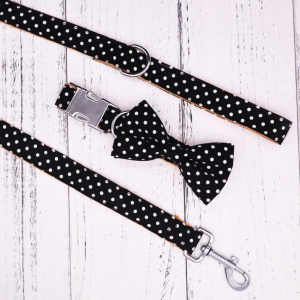 Polka - Image 3