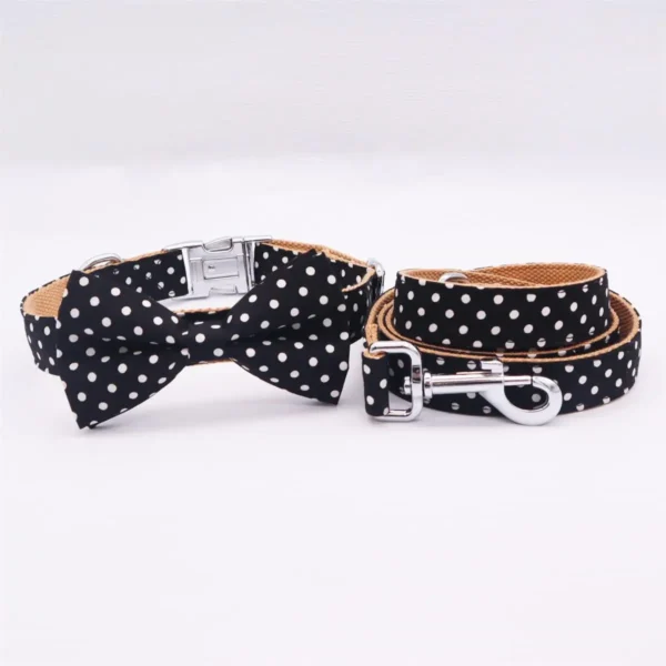 Polka - Image 5