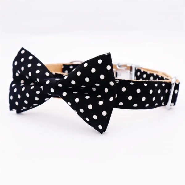 Polka