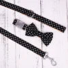 collar-bow-leash