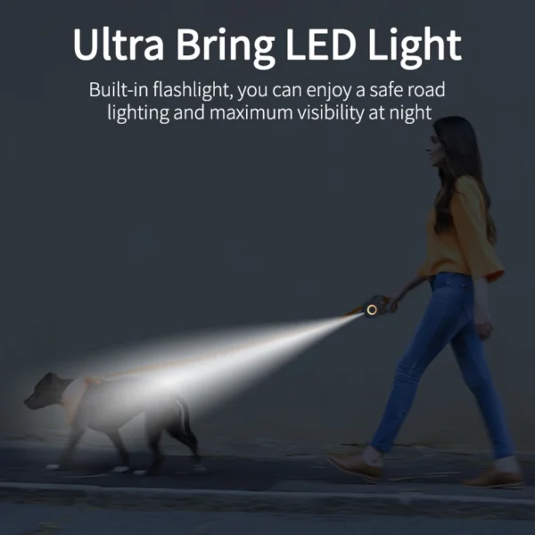Luminous - Image 5