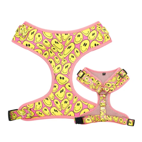 Smiley - Image 3