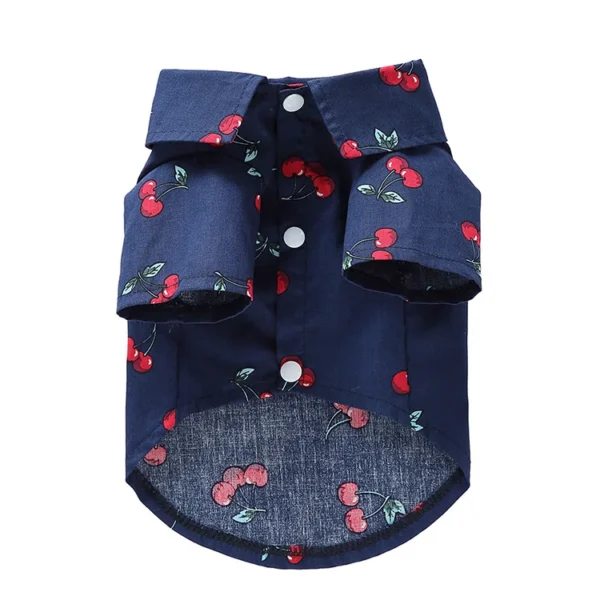 Fruity - Image 11