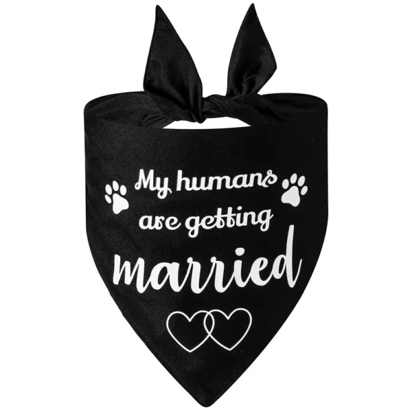 Marry Me - Image 4