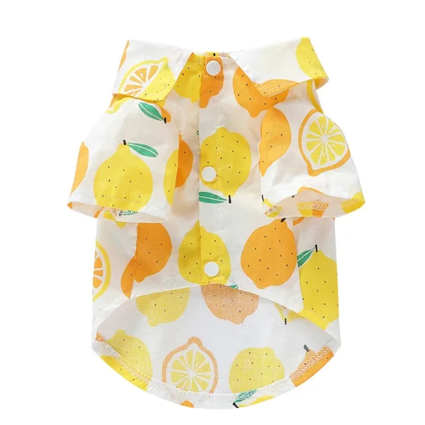 Fruity - Image 10