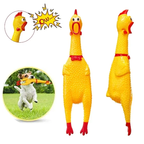 Screaming Chicken