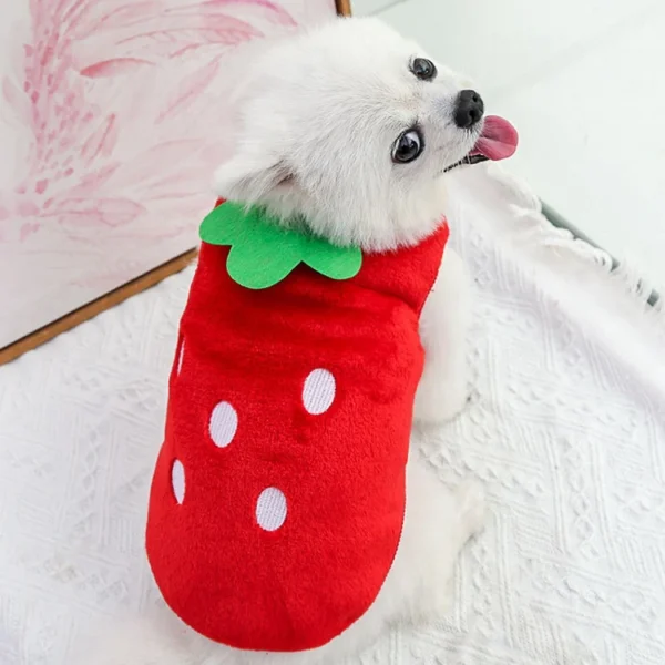 Milo - Image 4