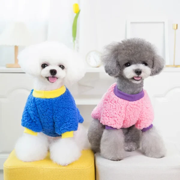Toomy - Image 5