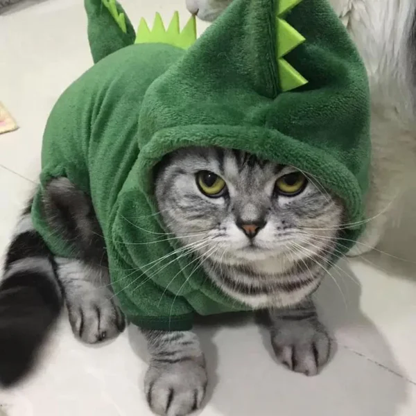 Pokemon - Image 8