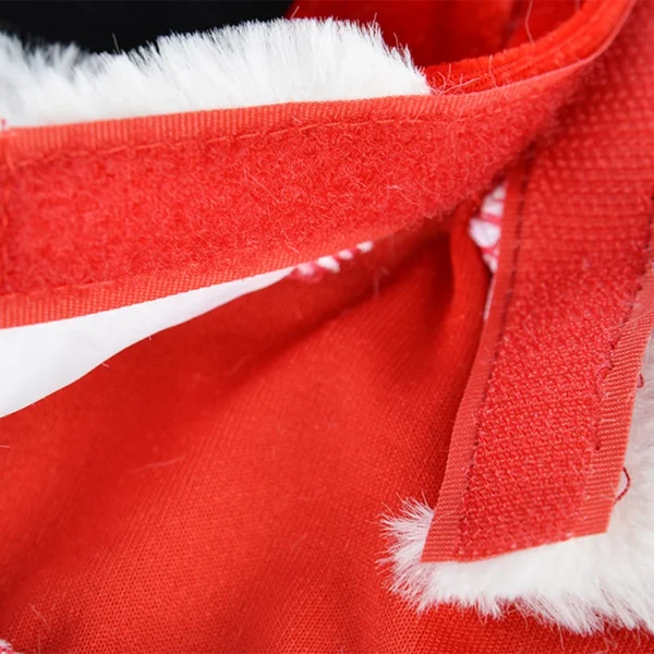 Little Santa - Image 4