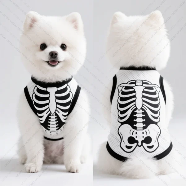 The Skeletalisto - Image 2