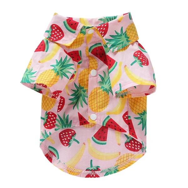 Fruity - Image 7