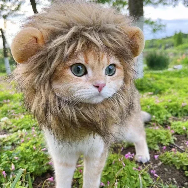 Little Lion! - Image 2