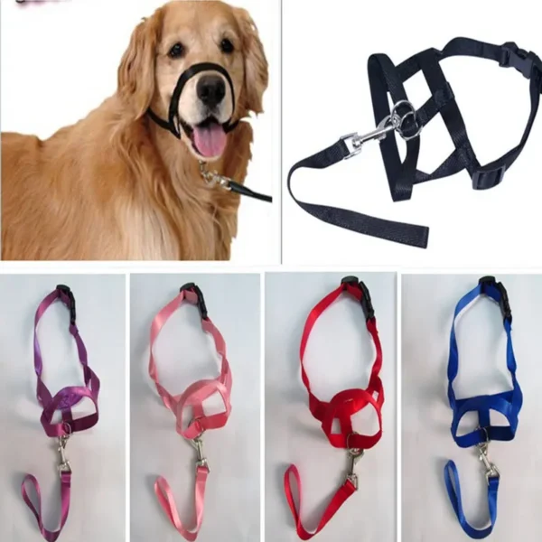 Muzzle - Image 4