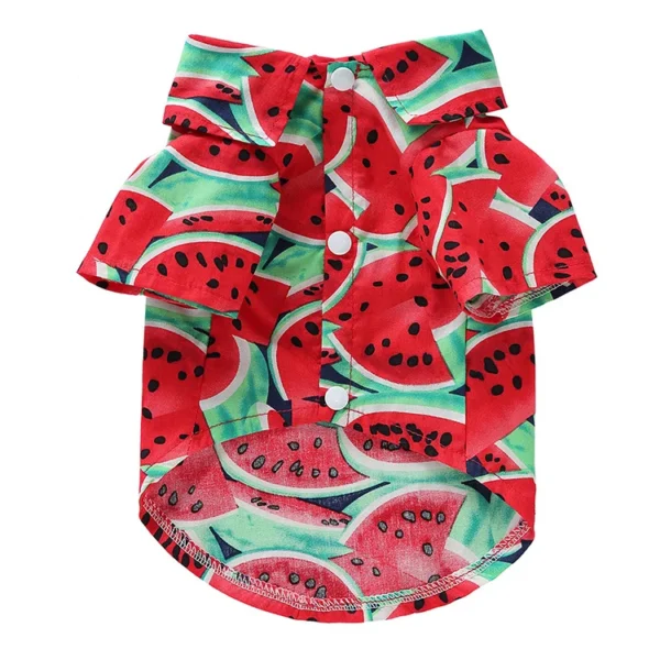 Fruity - Image 8