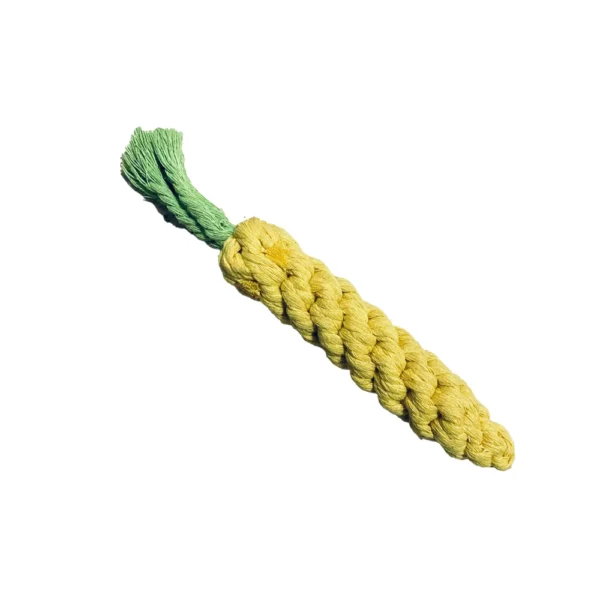 Carrot - Image 3