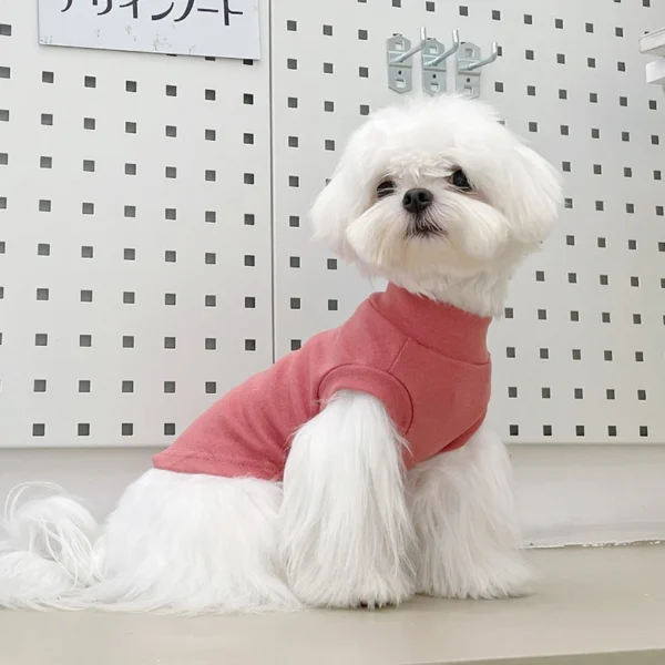 Molly - Image 7