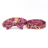 collar-bow-leash