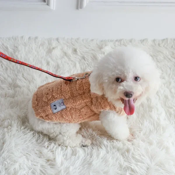 Rocco - Image 2