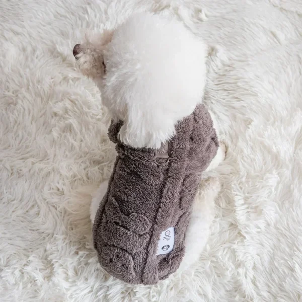 Rocco - Image 4