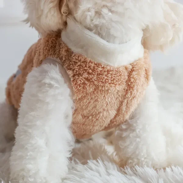 Rocco - Image 6