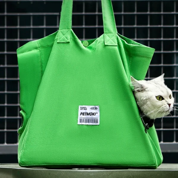 Kitten - Image 3