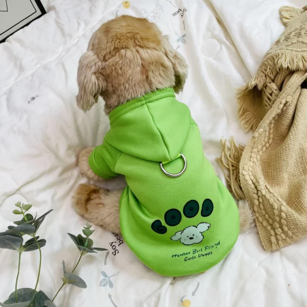 Sweater - Image 2