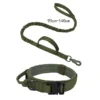 green-collar-leash