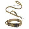 khaki-collar-leash