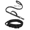 black-collar-leash