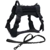 bk-harness-and-leash