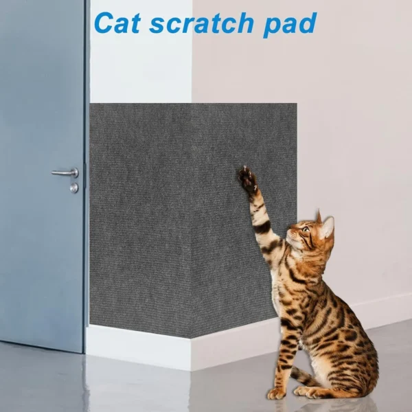 Scratching - Image 3