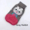 gray-rabbit