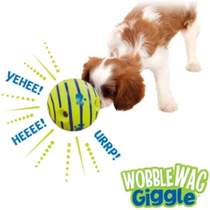 Wobble Ball