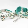 collar-bow-leash