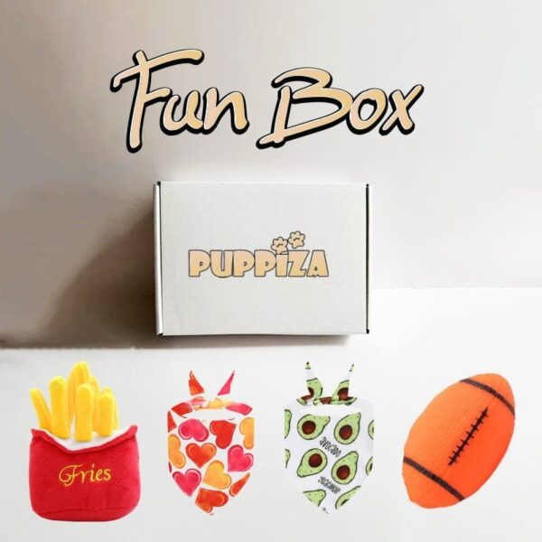 Fun Box